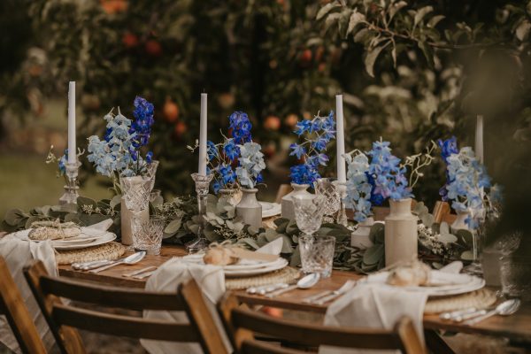 A tablescape in an orchard