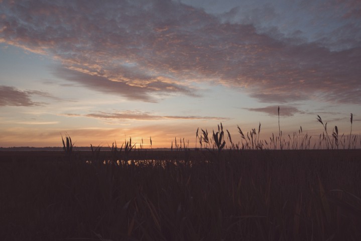 Elmley Nature Reserve, a dry hire wedding venue in Kent